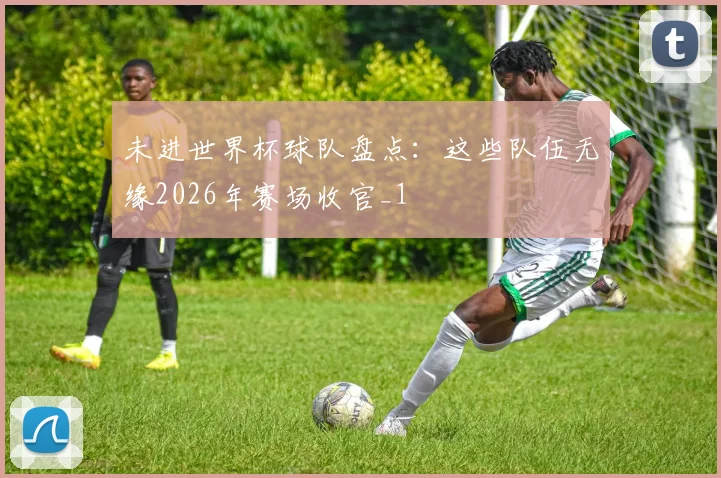 未进世界杯球队盘点：这些队伍无缘2026年赛场收官_1