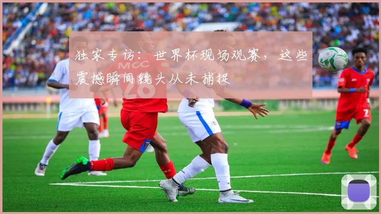独家专访:世界杯现场观赛,这些震撼瞬间镜头从未捕捉