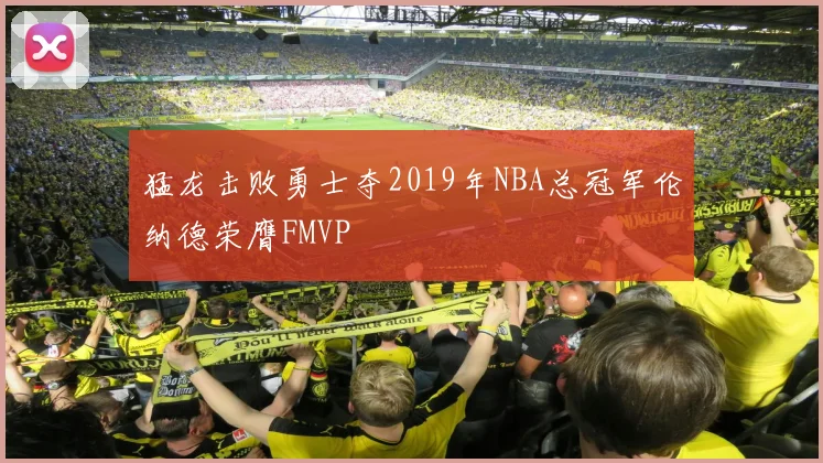 猛龙击败勇士夺2019年NBA总冠军伦纳德荣膺FMVP