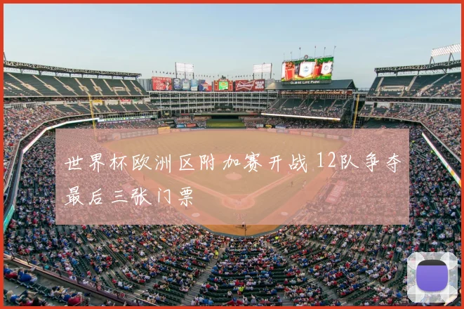 世界杯欧洲区附加赛开战 12队争夺最后三张门票